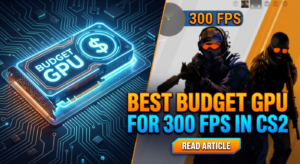 Best Budget GPU for 300 FPS in CS2
